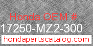 Honda 17250-MZ2-300 genuine part number image